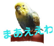 132047734