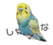132047737