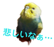 132047738