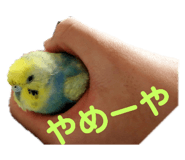 132047740