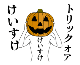 132061269