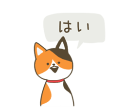 13210006
