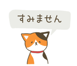 13210016