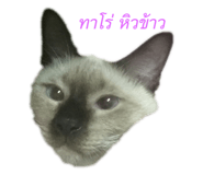 132233530