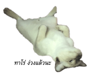 132233531