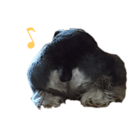 132340273