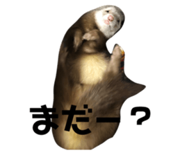 132382147