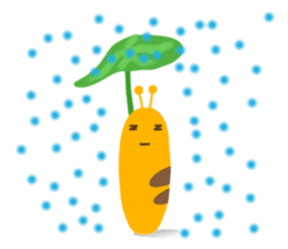 1324557