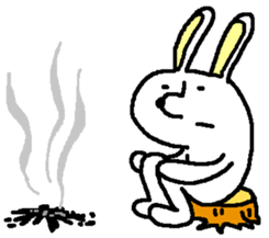 13249623