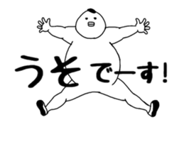 13259021