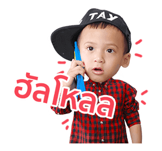 ลายที่ 24