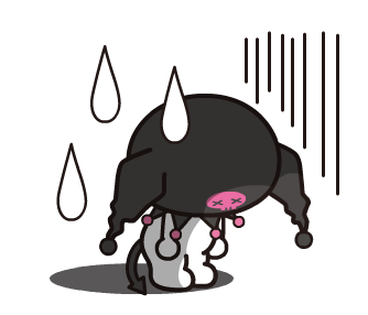 ลายที่ 45