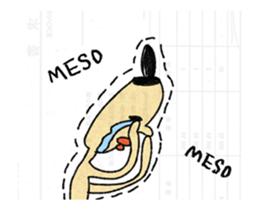 13297167