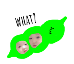 133069865
