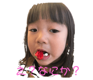 133077668
