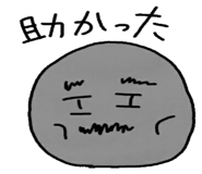 13316696