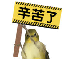 133183722