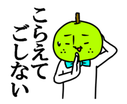13345137
