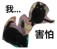 133503190