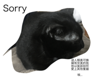 133503193