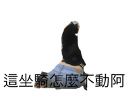 133503194