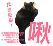 133503212