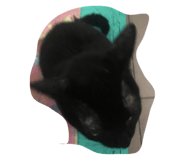 133503218