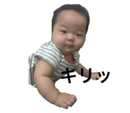 133556108