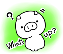 13370594