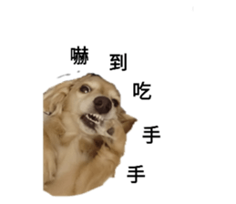 133706262