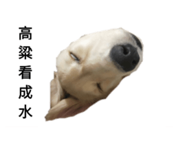 133706271