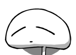 13373152