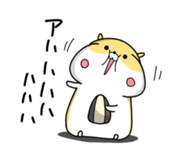 13378243