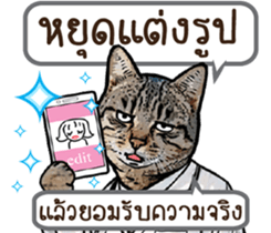 13402678