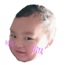 134047450