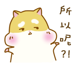 13406181