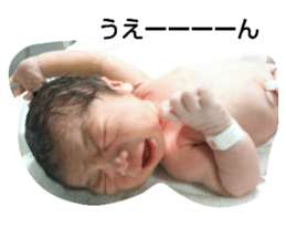 134064906
