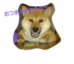 134096792