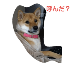 134096800