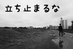13419621