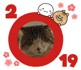 134233802