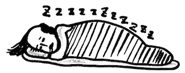 13425562