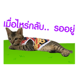 134262400