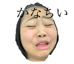 134302545