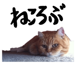 134351157