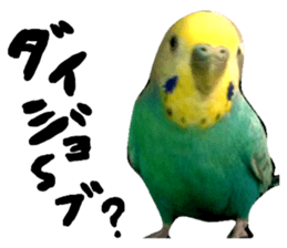 134351158
