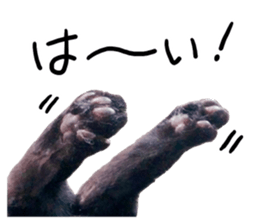 13443830