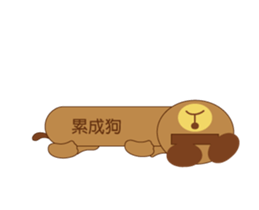 13455043