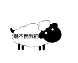 13455045