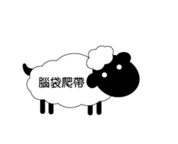 13455046